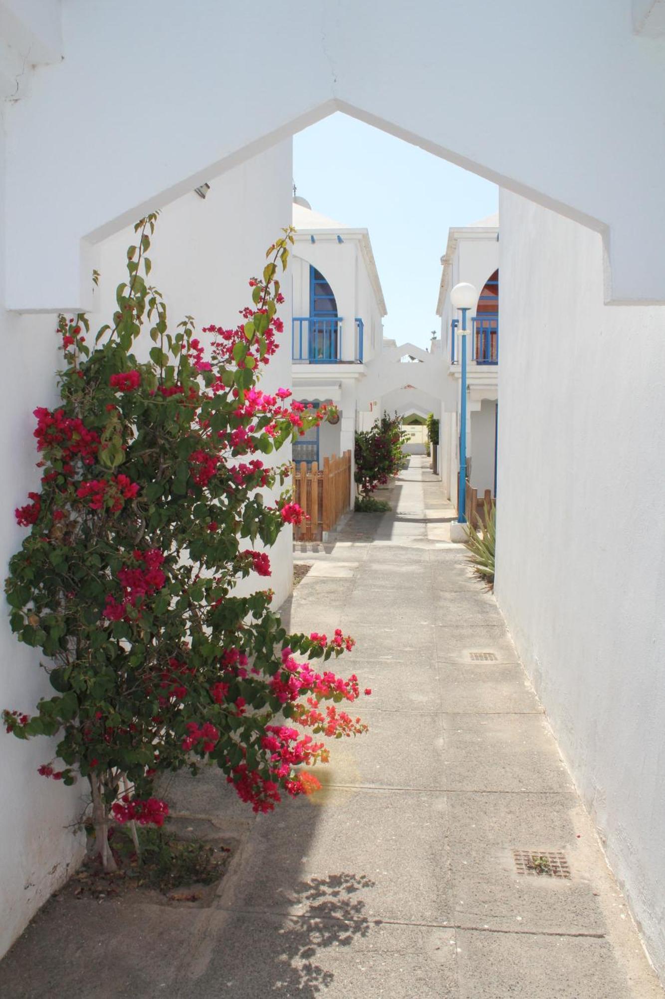 Playmar Bung 167 Daire Maspalomas  Dış mekan fotoğraf